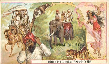 TAPIOCA DE L'�TOILE - Inde