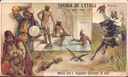 TAPIOCA DE L'�TOILE - Perse