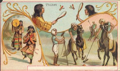 Thibet - Chicor�e a la Berg�re