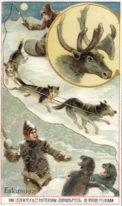 Eskimos - VAN LECKWYCK & Co. ROTTERDAM