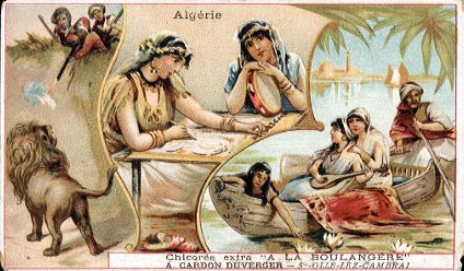 A. CARDON DUVERGER - Alg�rie