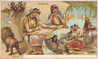 Alg�rie - CHICOR�E LERVILLES