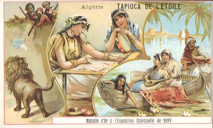 Alg�rie - TAPIOCA DE L'�TOILE