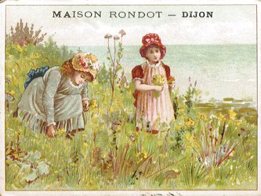 Maison Rondot
