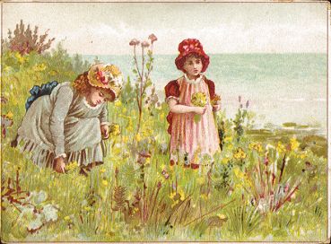 Alphonse Leroux, Orchies (Nord)
